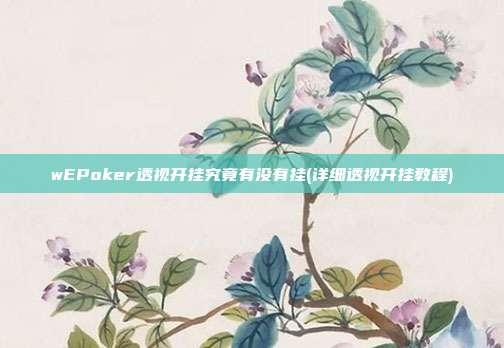 wEPoker透视开挂究竟有没有挂(详细透视开挂教程)