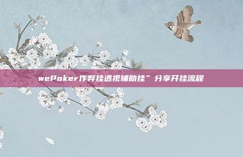 wePoker作弊挂透视辅助挂”分享开挂流程