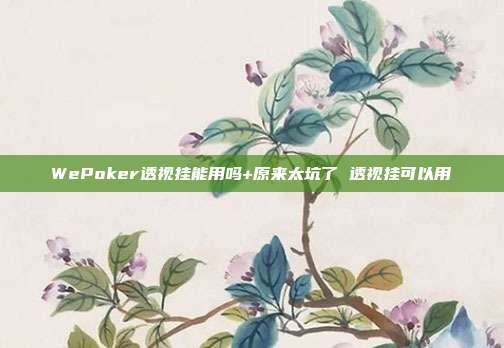 WePoker透视挂能用吗+原来太坑了 透视挂可以用