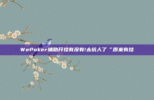 WePoker辅助开挂有没有!太坑人了“原来有挂