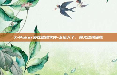 X-Poker外挂透视软件-太坑人了，曝光透视猫腻