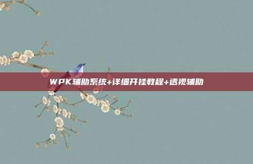 WPK辅助系统+详细开挂教程+透视辅助