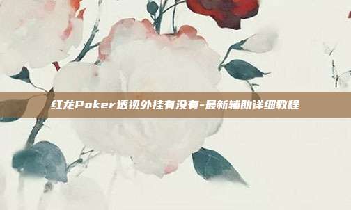 红龙Poker透视外挂有没有-最新辅助详细教程