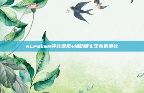 wEPokeR开挂透视+辅助确实是有透视挂