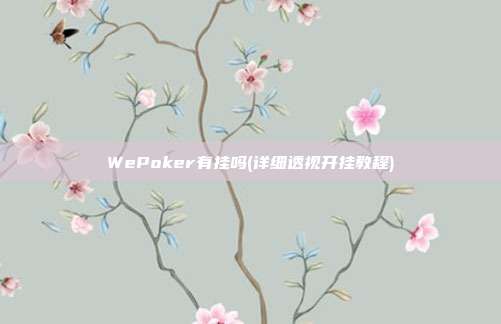 WePoker有挂吗(详细透视开挂教程)