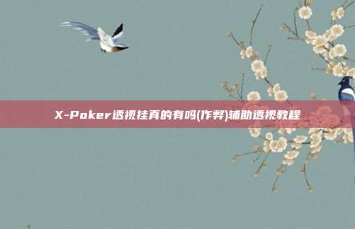 X-Poker透视挂真的有吗(作弊)辅助透视教程