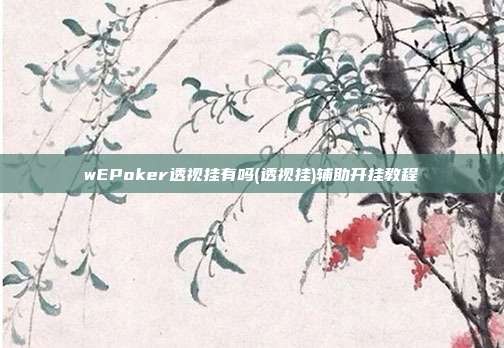 wEPoker透视挂有吗(透视挂)辅助开挂教程