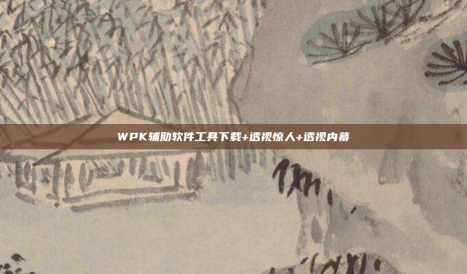 WPK辅助软件工具下载+透视惊人+透视内幕