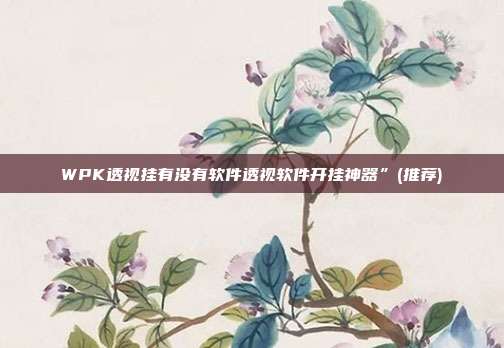 WPK透视挂有没有软件透视软件开挂神器”(推荐)