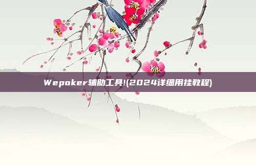 Wepoker辅助工具!(2024详细用挂教程)