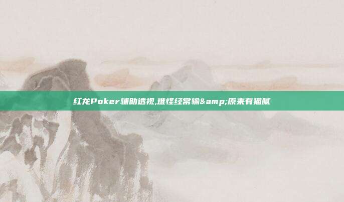 红龙Poker辅助透视,难怪经常输&原来有猫腻