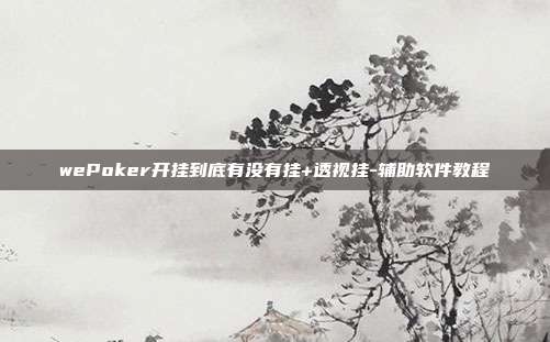 wePoker开挂到底有没有挂+透视挂-辅助软件教程