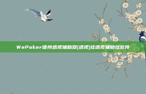 WePoker德州透视辅助器(透视)挂透视辅助挂软件