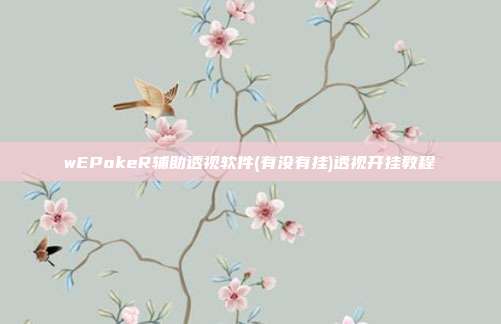 wEPokeR辅助透视软件(有没有挂)透视开挂教程