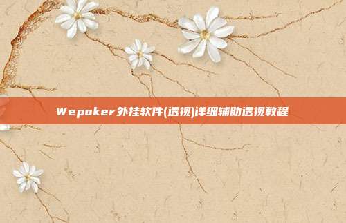 Wepoker外挂软件(透视)详细辅助透视教程