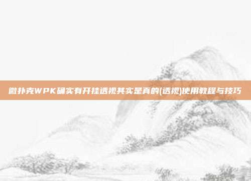 微扑克WPK确实有开挂透视其实是真的(透视)使用教程与技巧