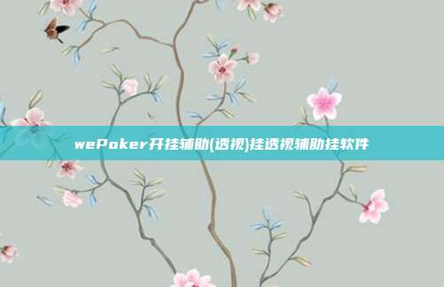 wePoker开挂辅助(透视)挂透视辅助挂软件