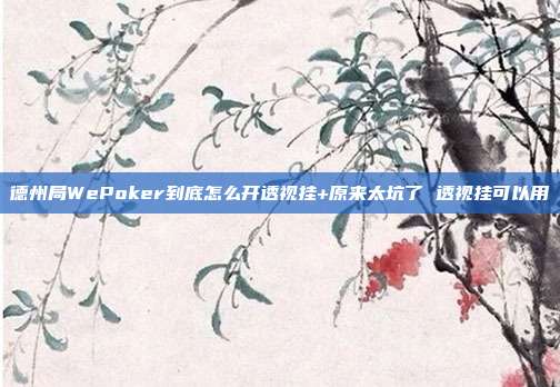 德州局WePoker到底怎么开透视挂+原来太坑了 透视挂可以用