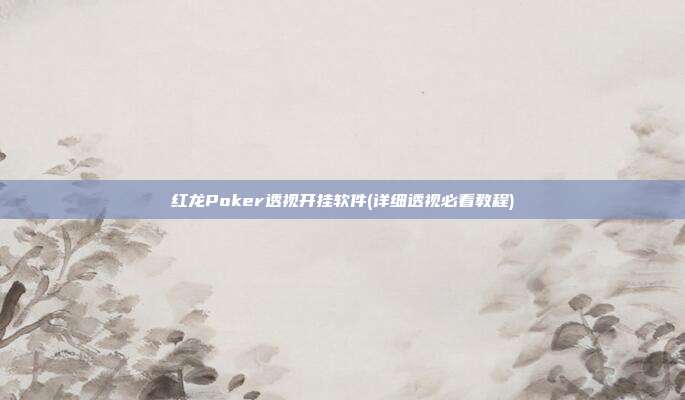 红龙Poker透视开挂软件(详细透视必看教程)