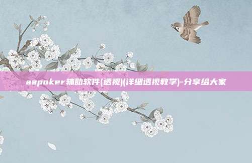 aapoker辅助软件(透视)(详细透视教学)-分享给大家