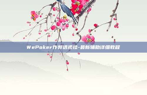 WePoker作弊透视挂-最新辅助详细教程