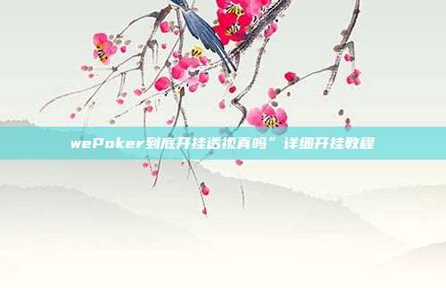 wePoker到底开挂透视真吗”详细开挂教程