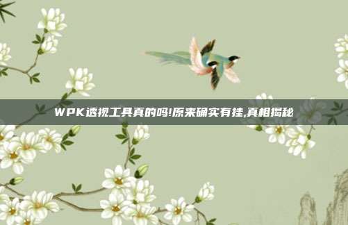 WPK透视工具真的吗!原来确实有挂,真相揭秘